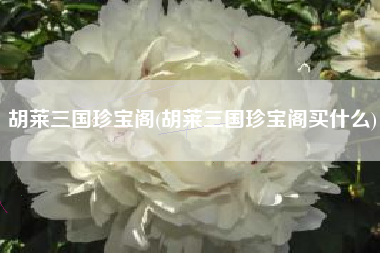 胡莱三国珍宝阁(胡莱三国珍宝阁买什么)