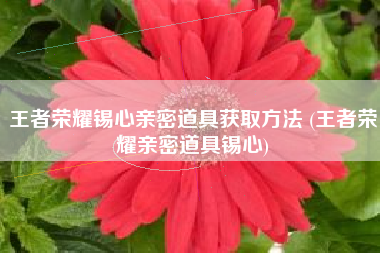 王者荣耀锡心亲密道具获取方法 (王者荣耀亲密道具锡心) 王者荣耀锡心亲密道具获取方法 (王者荣耀亲密道具锡心)