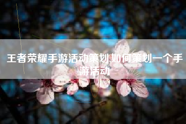 王者荣耀手游活动策划,如何策划一个手游活动