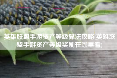 英雄联盟手游资产等级算法攻略(英雄联盟手游资产等级奖励在哪里看)