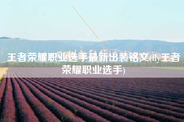 王者荣耀职业选手最新出装铭文(fly王者荣耀职业选手)