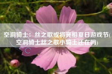 空洞骑士：丝之歌或将亮相夏日游戏节(空洞骑士丝之歌小骑士还在吗)