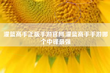 灌篮高手正版手游官网,灌篮高手手游哪个中锋最强