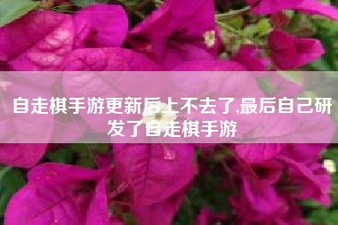 自走棋手游更新后上不去了,最后自己研发了自走棋手游