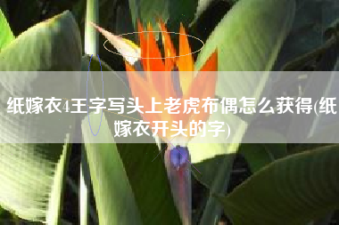 纸嫁衣4王字写头上老虎布偶怎么获得(纸嫁衣开头的字)