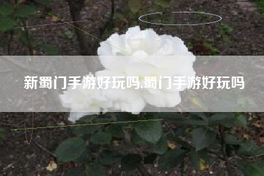 新蜀门手游好玩吗,蜀门手游好玩吗