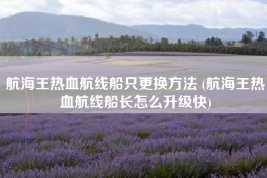 航海王热血航线船只更换方法 (航海王热血航线船长怎么升级快)