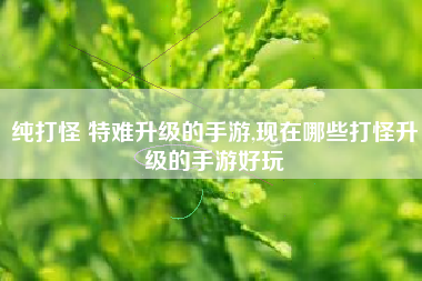 纯打怪 特难升级的手游,现在哪些打怪升级的手游好玩