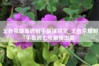 王者荣耀鲁班射手最强铭文_王者荣耀射手鲁班七号最强出装
