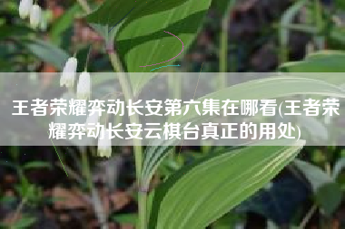 王者荣耀弈动长安第六集在哪看(王者荣耀弈动长安云棋台真正的用处)