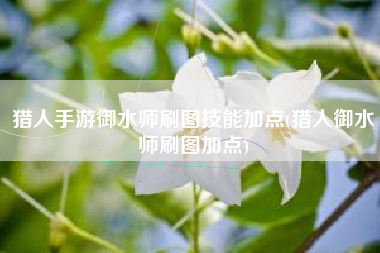 猎人手游御水师刷图技能加点(猎人御水师刷图加点)