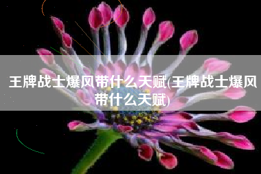 王牌战士爆风带什么天赋(王牌战士爆风带什么天赋)