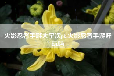 火影忍者手游大宁次pk,火影忍者手游好玩吗