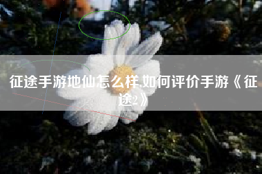 征途手游地仙怎么样,如何评价手游《征途2》