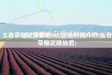 王者荣耀武陵仙君2022返场时间介绍(王者荣耀武陵仙君)