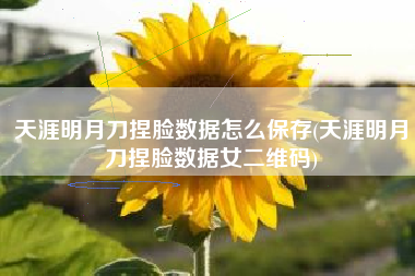 天涯明月刀捏脸数据怎么保存(天涯明月刀捏脸数据女二维码)