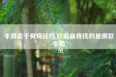 手游花千骨烧钱吗,目前最烧钱的是哪款手游