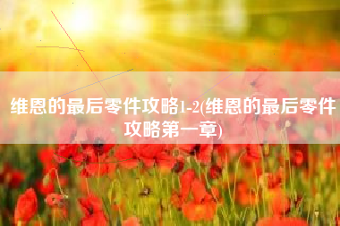 维恩的最后零件攻略1-2(维恩的最后零件攻略第一章)