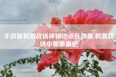 手游版刺激战场神秘地点在哪里,刺激战场中哪里最肥