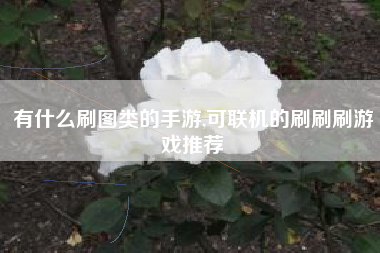 有什么刷图类的手游,可联机的刷刷刷游戏推荐