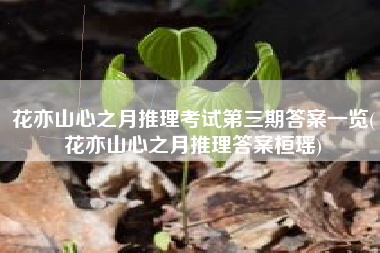 花亦山心之月推理考试第三期答案一览(花亦山心之月推理答案桓瑶)
