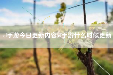 cf手游今日更新内容,cf手游什么时候更新