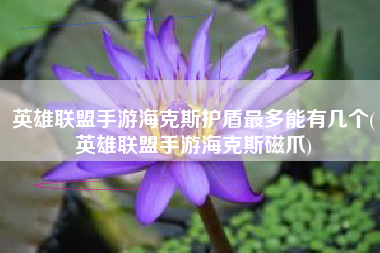 英雄联盟手游海克斯护盾最多能有几个(英雄联盟手游海克斯磁爪)