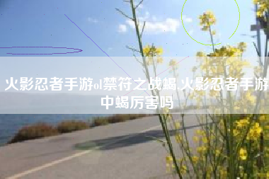 火影忍者手游ol禁符之战蝎,火影忍者手游中蝎厉害吗