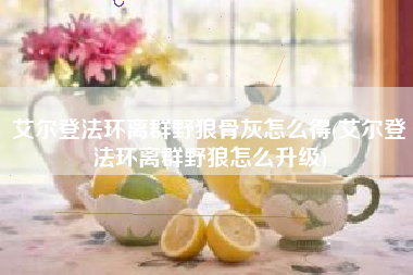艾尔登法环离群野狼骨灰怎么得(艾尔登法环离群野狼怎么升级)