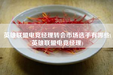 英雄联盟电竞经理转会市场选手有哪些(英雄联盟电竞经理)