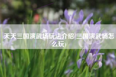 天天三国演武场玩法介绍(三国演武场怎么玩)