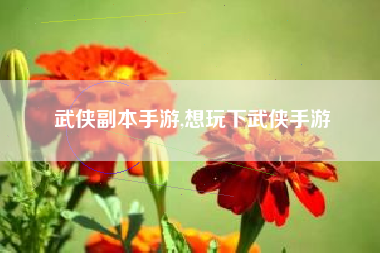 武侠副本手游,想玩下武侠手游