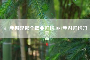 dnf手游是那个职业好玩,DNF手游好玩吗