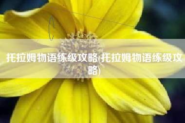 托拉姆物语练级攻略(托拉姆物语练级攻略) 托拉姆物语练级攻略(托拉姆物语练级攻略)