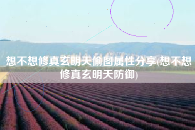 想不想修真玄明天偷图属性分享(想不想修真玄明天防御)