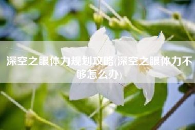 深空之眼体力规划攻略(深空之眼体力不够怎么办)