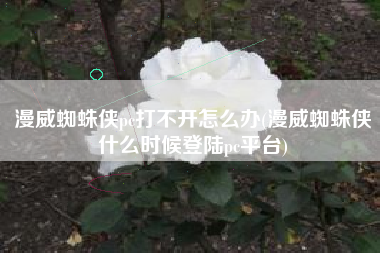 漫威蜘蛛侠pc打不开怎么办(漫威蜘蛛侠什么时候登陆pc平台)