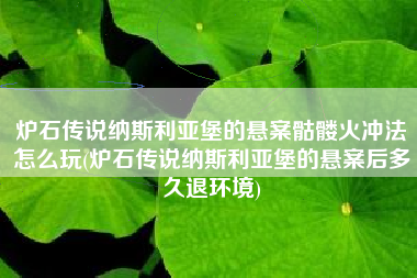 炉石传说纳斯利亚堡的悬案骷髅火冲法怎么玩(炉石传说纳斯利亚堡的悬案后多久退环境)
