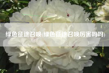 绿色征途召唤(绿色征途召唤厉害吗吗)