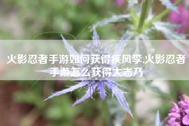 火影忍者手游如何获得疾风李,火影忍者手游怎么获得大志乃