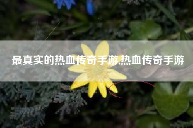最真实的热血传奇手游,热血传奇手游