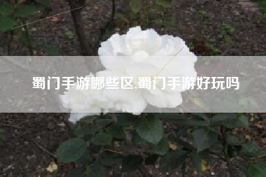 蜀门手游哪些区,蜀门手游好玩吗