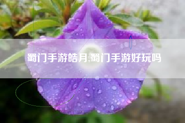 蜀门手游皓月,蜀门手游好玩吗