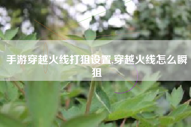 手游穿越火线打狙设置,穿越火线怎么瞬狙