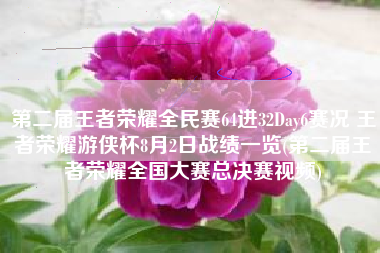 第二届王者荣耀全民赛64进32Day6赛况 王者荣耀游侠杯8月2日战绩一览(第二届王者荣耀全国大赛总决赛视频)