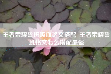 王者荣耀鲁班吸血铭文搭配_王者荣耀鲁班铭文怎么搭配最强