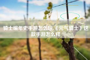 骑士编年史手游怎么玩,《元气骑士》这款手游怎么样
