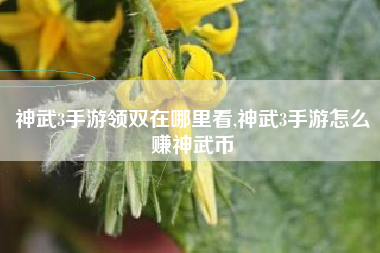 神武3手游领双在哪里看,神武3手游怎么赚神武币