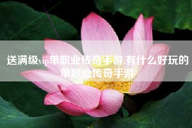 送满级vip单职业传奇手游,有什么好玩的单职业传奇手游