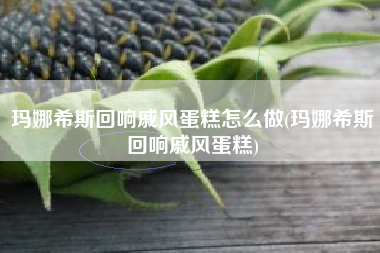 玛娜希斯回响戚风蛋糕怎么做(玛娜希斯回响戚风蛋糕)